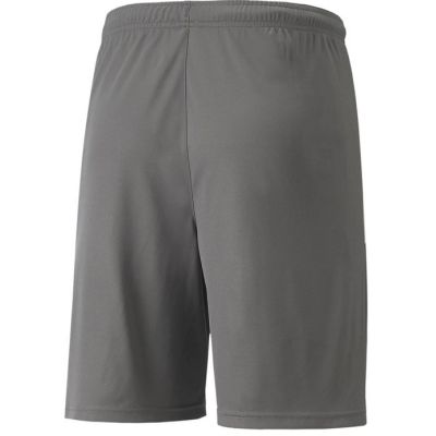 2. Spodenki Puma teamLIGA Shorts Jr 704931 13