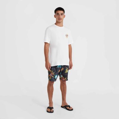 8. Koszulka O'Neill Beach Graphic T-Shirt M 92800613984
