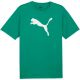 3. Koszulka Puma Team Rise Logo Jersey Cotton M 658705 05
