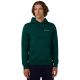 Bluza męska Champion Hooded Sweatshirt zielona 221790 GS584