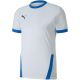 5. Koszulka Puma teamGOAL 23 Jersey M 704171 12