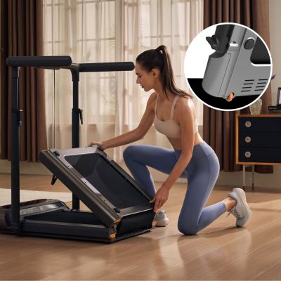 29. Bieżnia elektryczna Kingsmith R3 Hybrid+ Treadmill