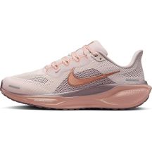 NIKE PEGASUS 41 (FD2723-604)