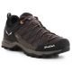 2. Buty trekkingowe Salewa Mtn Trainer Lite GTX M 61361-7512