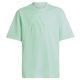 2. Koszulka adidas  FI Logo Tee Jr IC9532