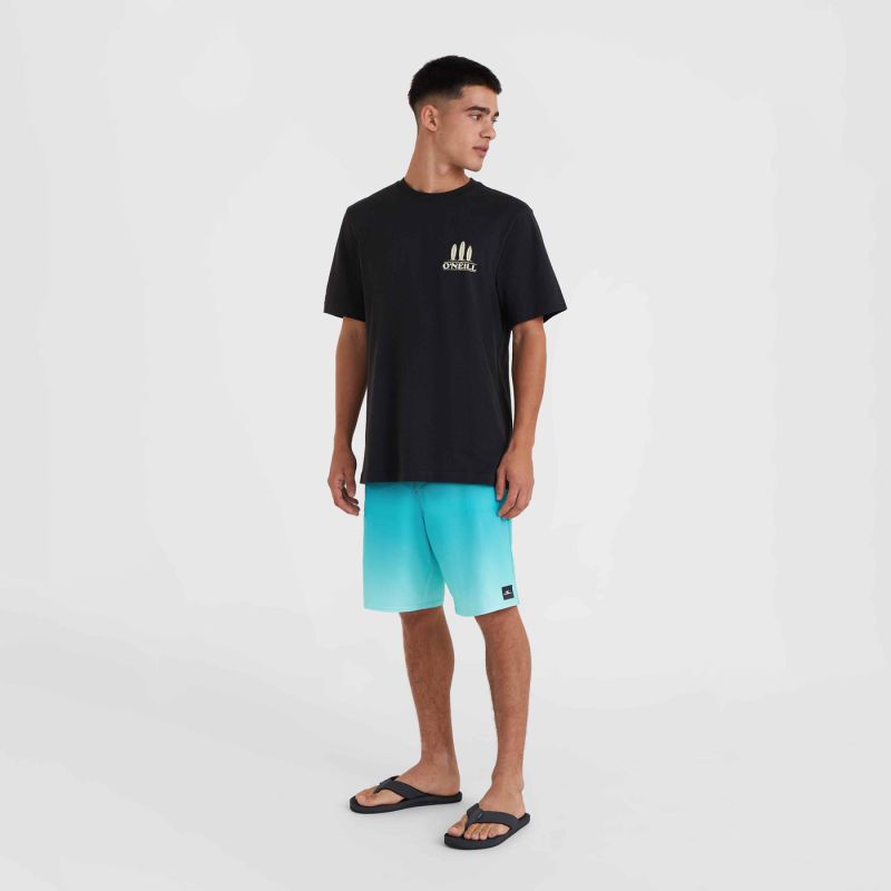 8. Koszulka O'Neill Beach Graphic T-Shirt M 92800613988