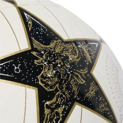 3. Piłka adidas UCL Real Madryt Club KC0996