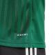 14. Koszulka męska adidas Campeon 25 Jersey zielona JF6063