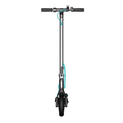 13. Hulajnoga Motus Scooty 8,5 Lite