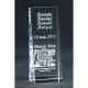 6. Trofeum szklane grawerowane z etui