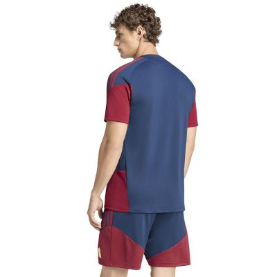 2. Koszulka adidas Arsenal Londyn Cup Training JSY KB9987