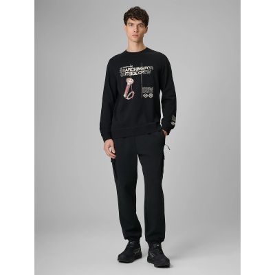 6. Longsleeve regular z nadrukiem męski 4F 4FRSS26TLONM674-20S