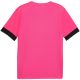 2. Koszulka Puma teamGoal Matchday Jersey M 705747 27