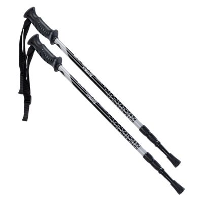2. Kije trekingowe Hi-tec lapland 92800350251