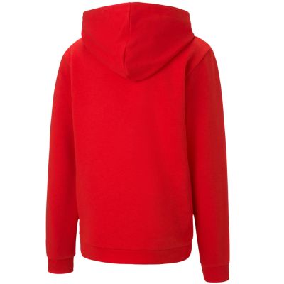 6. Bluza Puma teamGOAL 23 Casuals Hoody Jr 656711 01