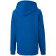 6. Bluza Puma teamGOAL 23 Casuals Hoody Jr 656711 02