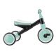 10. Rowerek LEARNING TRIKE 2w1 (735-206)