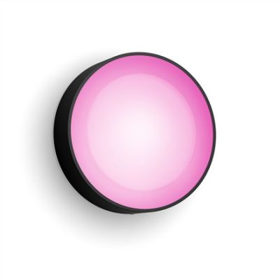 4. Zewnętrzna latarnia ścienna Philips Hue WCA Daylo 15 W 2000-6500 Hue Biały Kolor Atmosfera