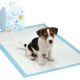 7. PODKŁAD TRENINGOWY HIGIENICZNY DLA PSA 20SZT DOGS COLLECTION