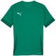 3. Koszulka Puma teamGoal Matchday Jersey M 705747 05