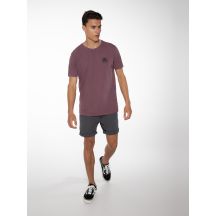 Spodenki męskie PROTEST FAN shorts