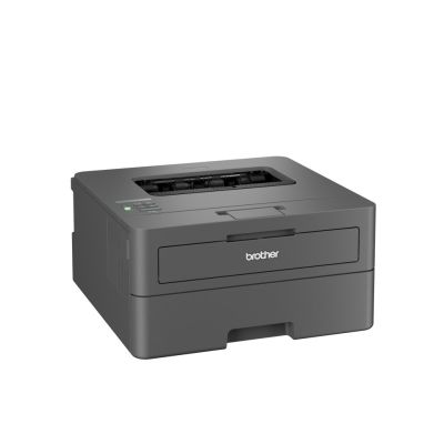 18. Drukarka Brother HL-L2445DW szary