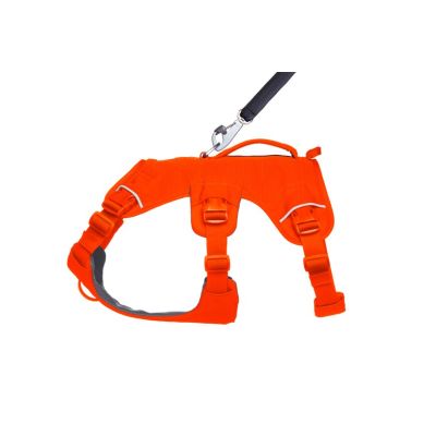 3. Szelki dla psa Ruffwear Web Master Harness - blaze orange, rozmiar: m