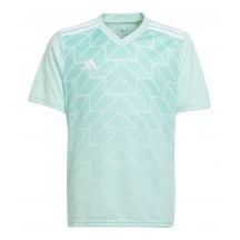 Koszulka adidas Team Icon 23 Jr IC1255