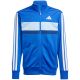 10. Dres adidas Seasonal Essentials Tiberio 3-Stripes Jr JC7518