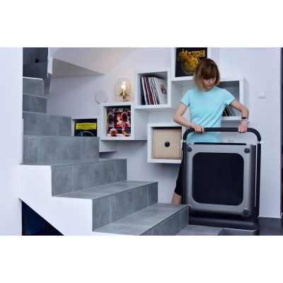 111. Bieżnia Sportowa Kingsmith WalkingPad TRR1F R1
