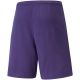 2. Spodenki Puma teamRise Short Prist M 704942 10