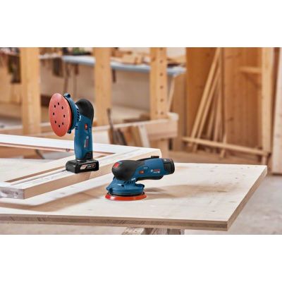 4. Bosch GEX 12V-125 Professional