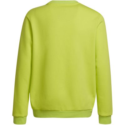 2. Bluza adidas Entrada 22 Sweat Top Jr HC5043