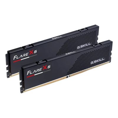 9. G.SKILL FLARE X5 AMD DDR5 2X32GB 6000MHZ CL28 EXPO BLACK F5-6000J2836G32GX2-FX5