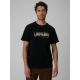 T-shirt regular z nadrukiem męski 4F 4FRSS26TTSHM4227-20S