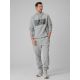 6. Bluza dresowa regular z kapturem męska 4F 4FRSS26TSWSM2975-20S