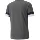 2. Koszulka Puma teamRISE Smoked M 704932 13