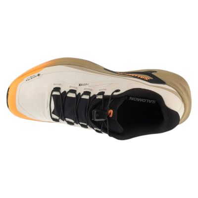 3. Salomon Genesis 2 GTX W L45388200 Brązowe 37 1/3