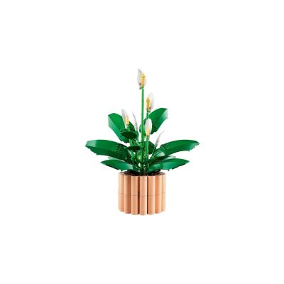 26. LEGO Botanical 11504 Skrzydłokwiat w doniczce