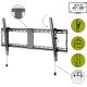 10. Wentronic Pro TILT (XL) 2,54 m (100") Czarny