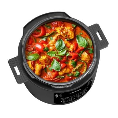 21. Multicooker CK6001 CONCEPT