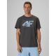 T-shirt regular z nadrukiem męski 4F 4FRSS26TTSHM4295-22S