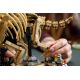 24. LEGO Jurassic World 77985 - Szkielety dinozaurów: Triceratops