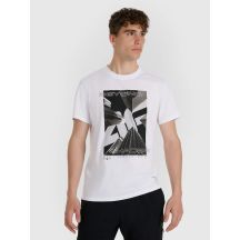 T-shirt męski 4F 4FRAW25TTSHM3258-10S