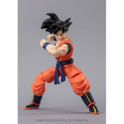 5. DRAGON BALL SUPER EVOLVE - SON GOKU