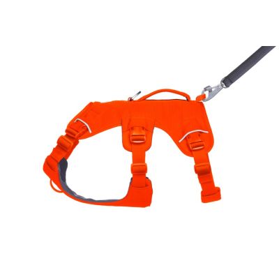 4. Szelki dla psa Ruffwear Web Master Harness - blaze orange, rozmiar: m