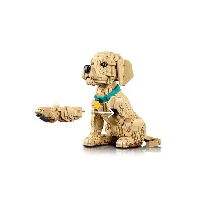 17. LEGO 11384 Icons - Szczeniak golden retriever