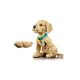17. LEGO 11384 Icons - Szczeniak golden retriever