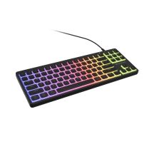 GENESIS Thor 430 TKL klawiatura Gaming USB QWERTY US English Czarny