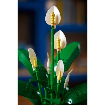 23. LEGO Botanical 11504 Skrzydłokwiat w doniczce
